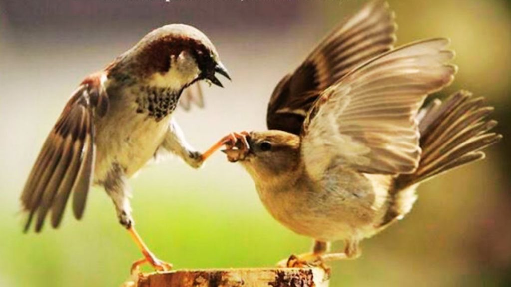 Deixe o hábito de reclamar e tenha uma vida mais feliz